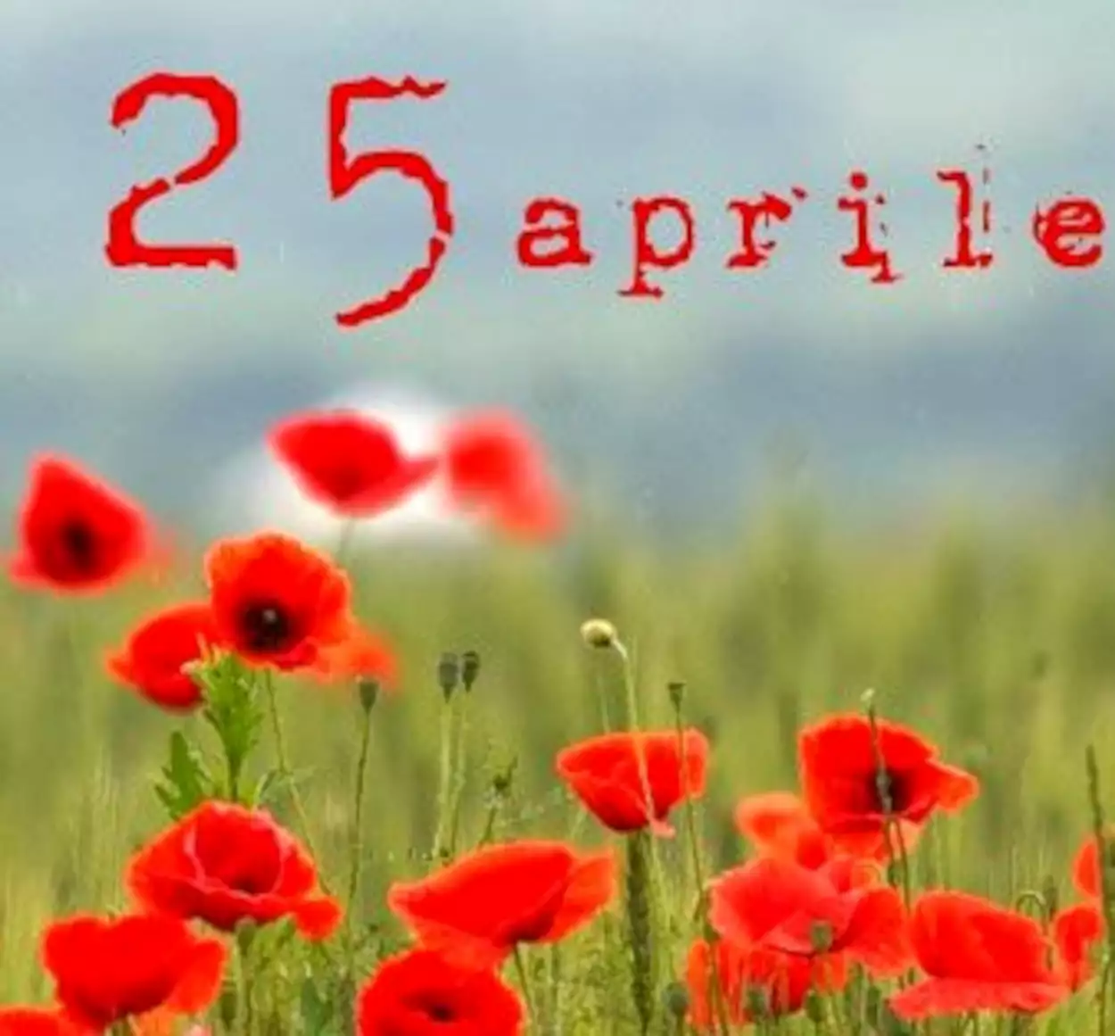 Un'immagine generica segnaposto con angoli arrotondati in una figura.